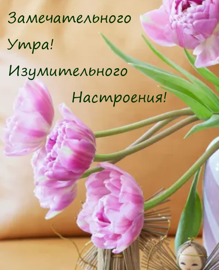 Замечательного Утра! Изумительного Настроения!
