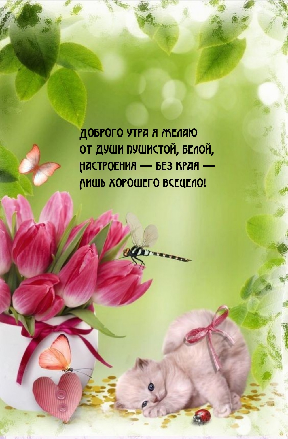 Доброго утра я желаю от души пушистой, белой, Настроения без края 