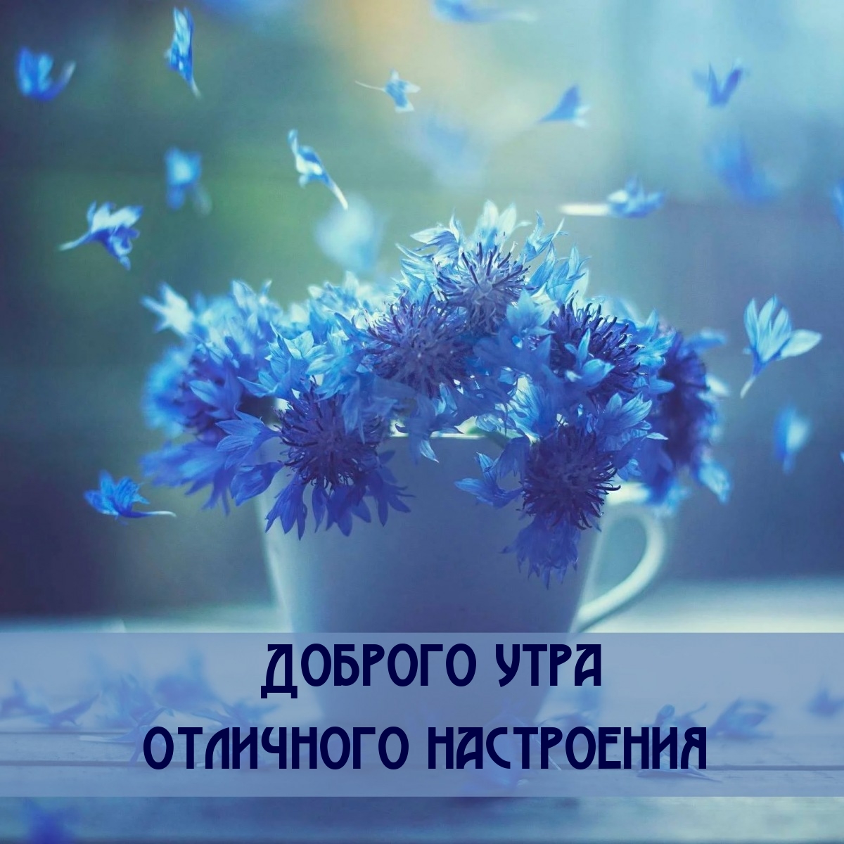 Доброго утра Отличного настроения