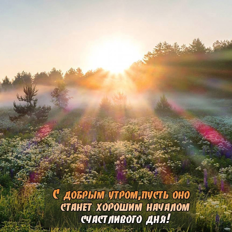 С добрым утром, пусть оно станет хорошим началом счастливого дня!