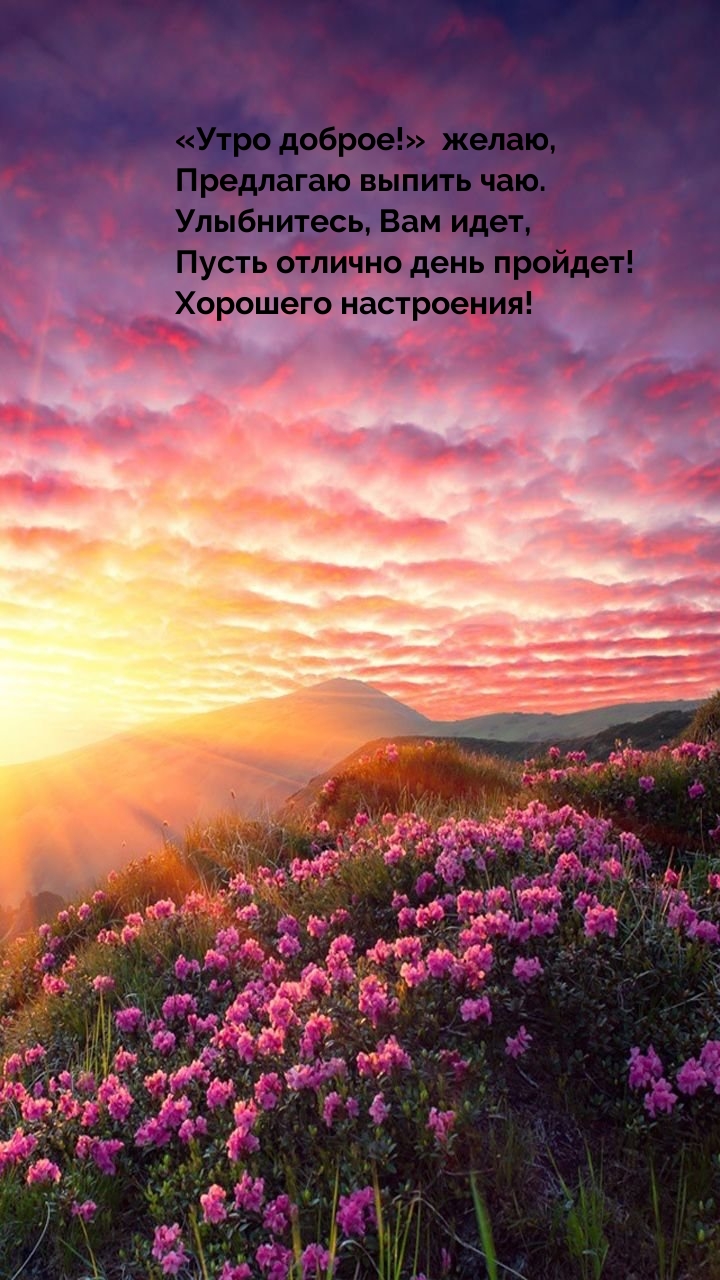 «Утро доброе!» ― желаю, предлагаю выпить чаю. Хорошего настроения!