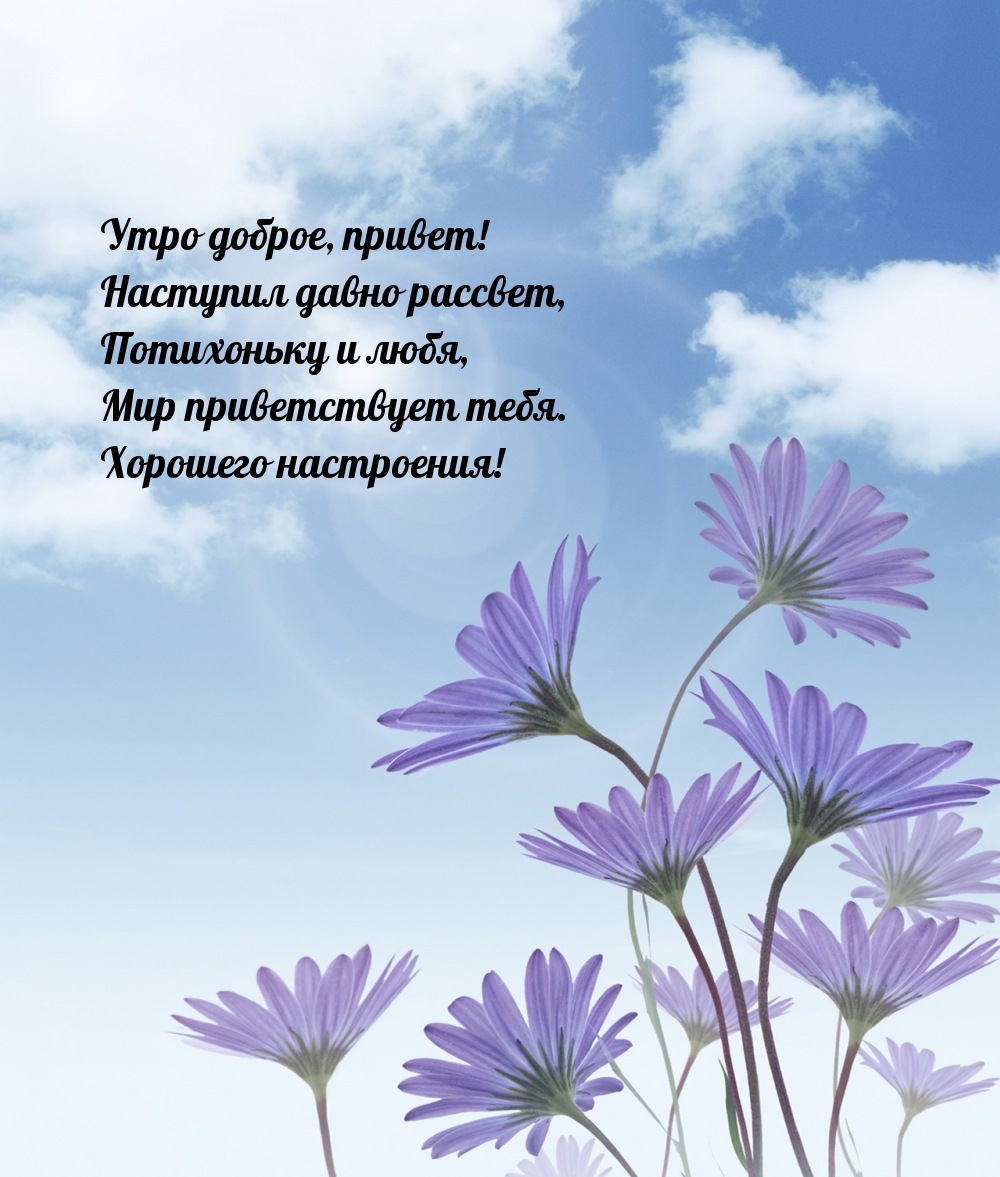 Утро доброе, привет! Наступил давно рассвет