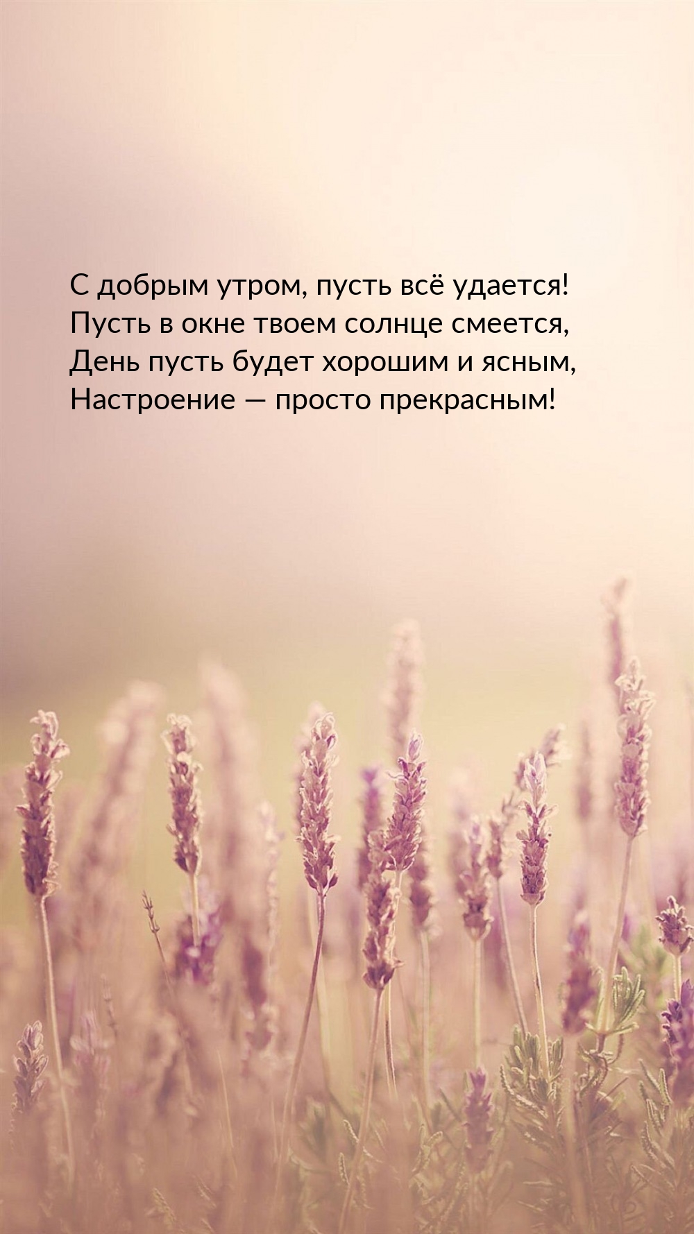 С добрым утром, пусть всё удается! Пусть в окне солнце смеется