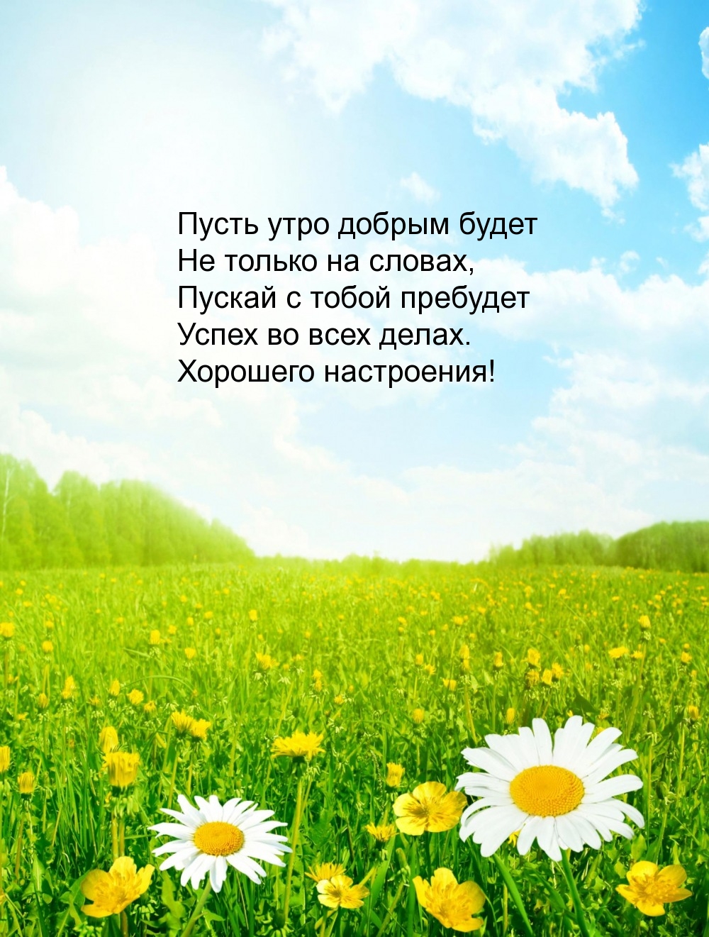 Пусть утро добрым будет не только на словах Хорошего настроения!