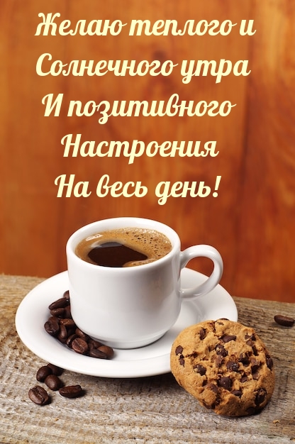 Солнечного утра и позитивного настроения на весь день!