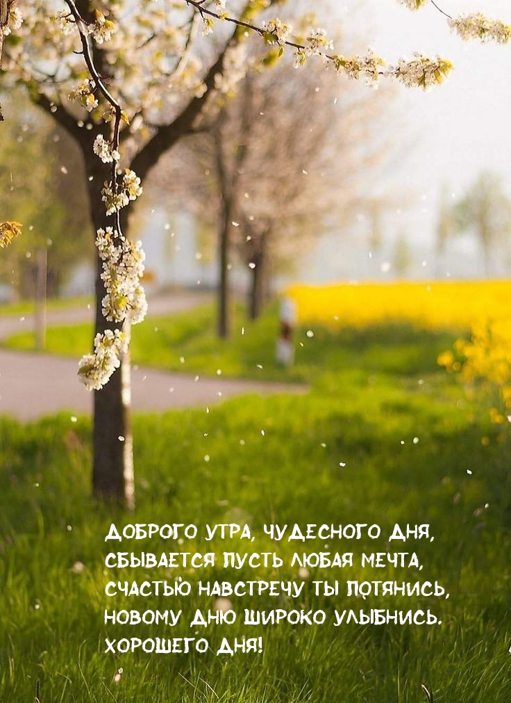 Доброго утра, чудесного дня, сбывается пусть любая мечта