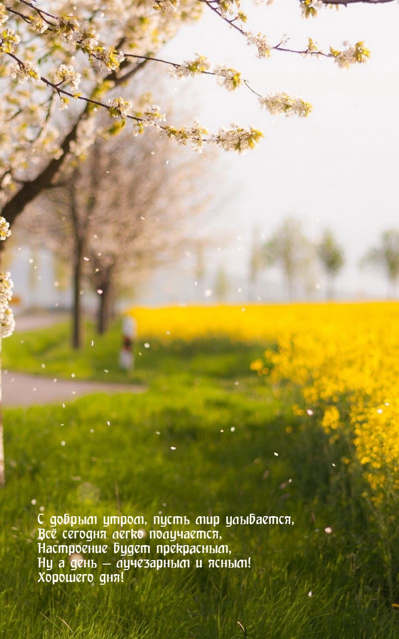 Настроение будет прекрасным, ну а день — лучезарным и ясным!