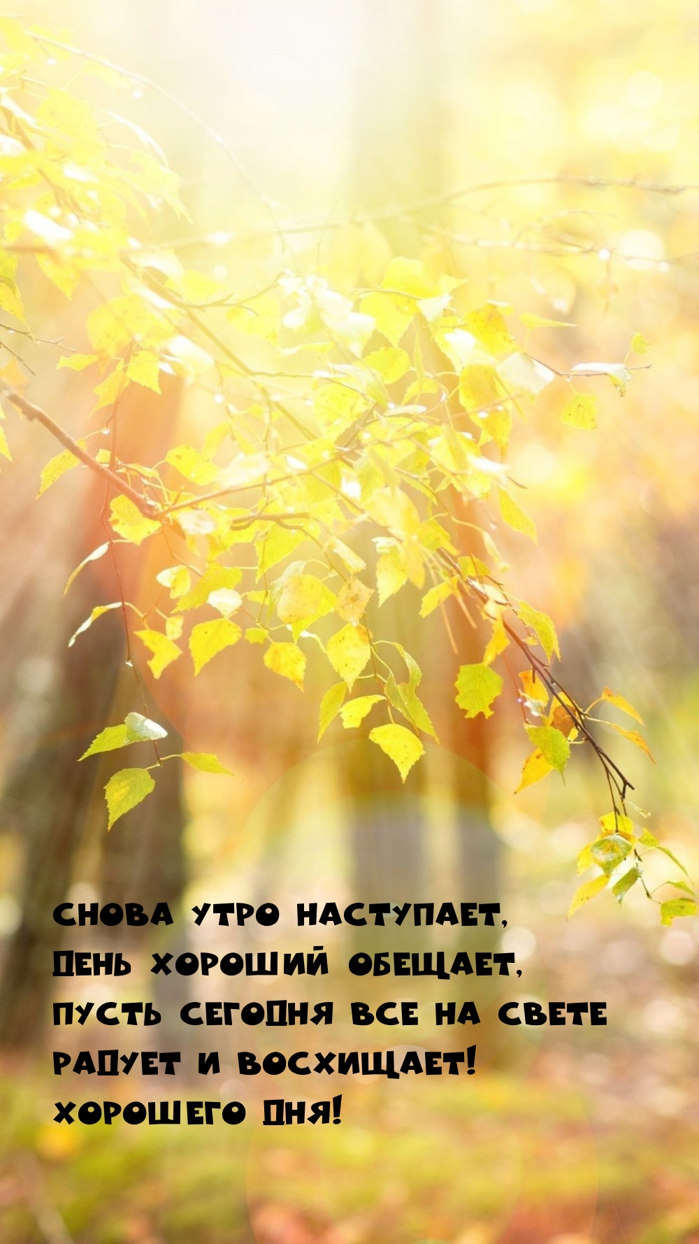 Снова утро наступает, день хороший обещает