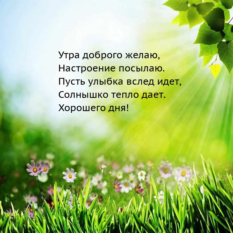 Утра доброго желаю, настроение посылаю.