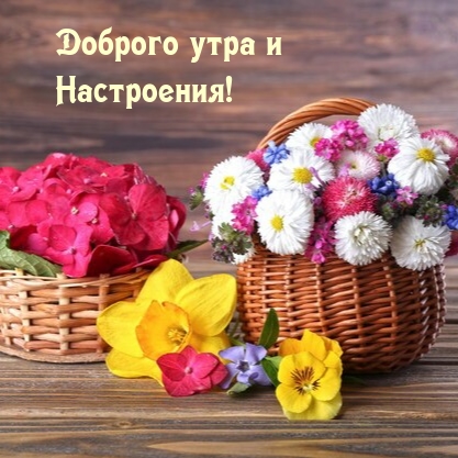 Доброго утра и Настроения!