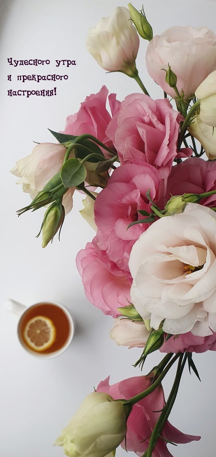 Чудесного утра и прекрасного настроения!