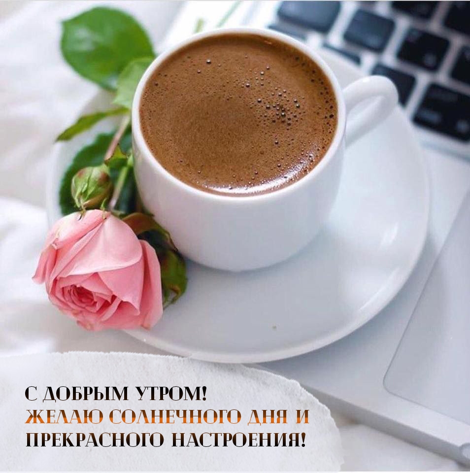 С добрым утром! Желаю солнечного дня и прекрасного настроения!