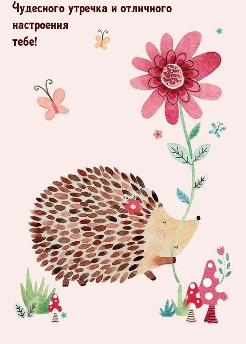 Чудесного утречка и отличного настроения тебе!