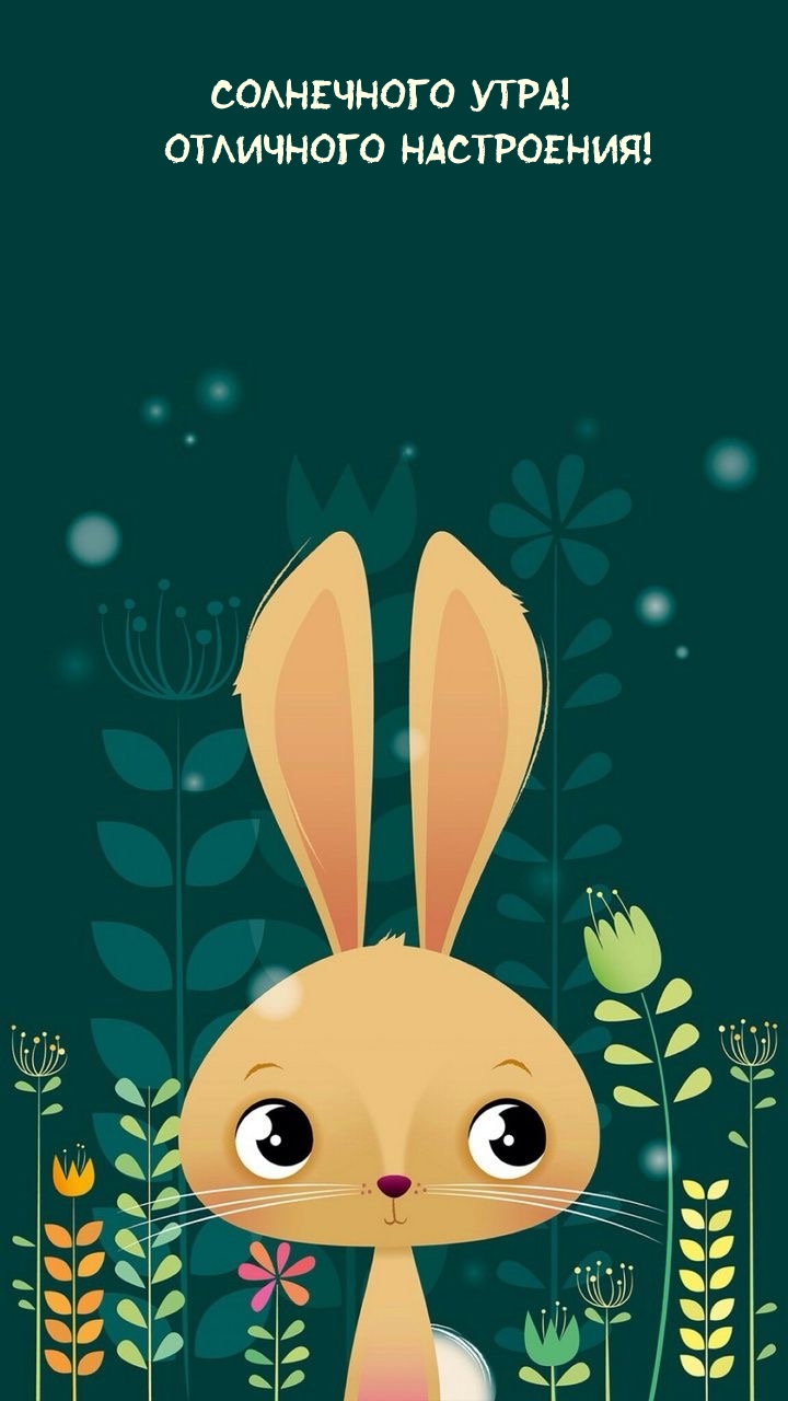 Солнечного утра! Отличного настроения!