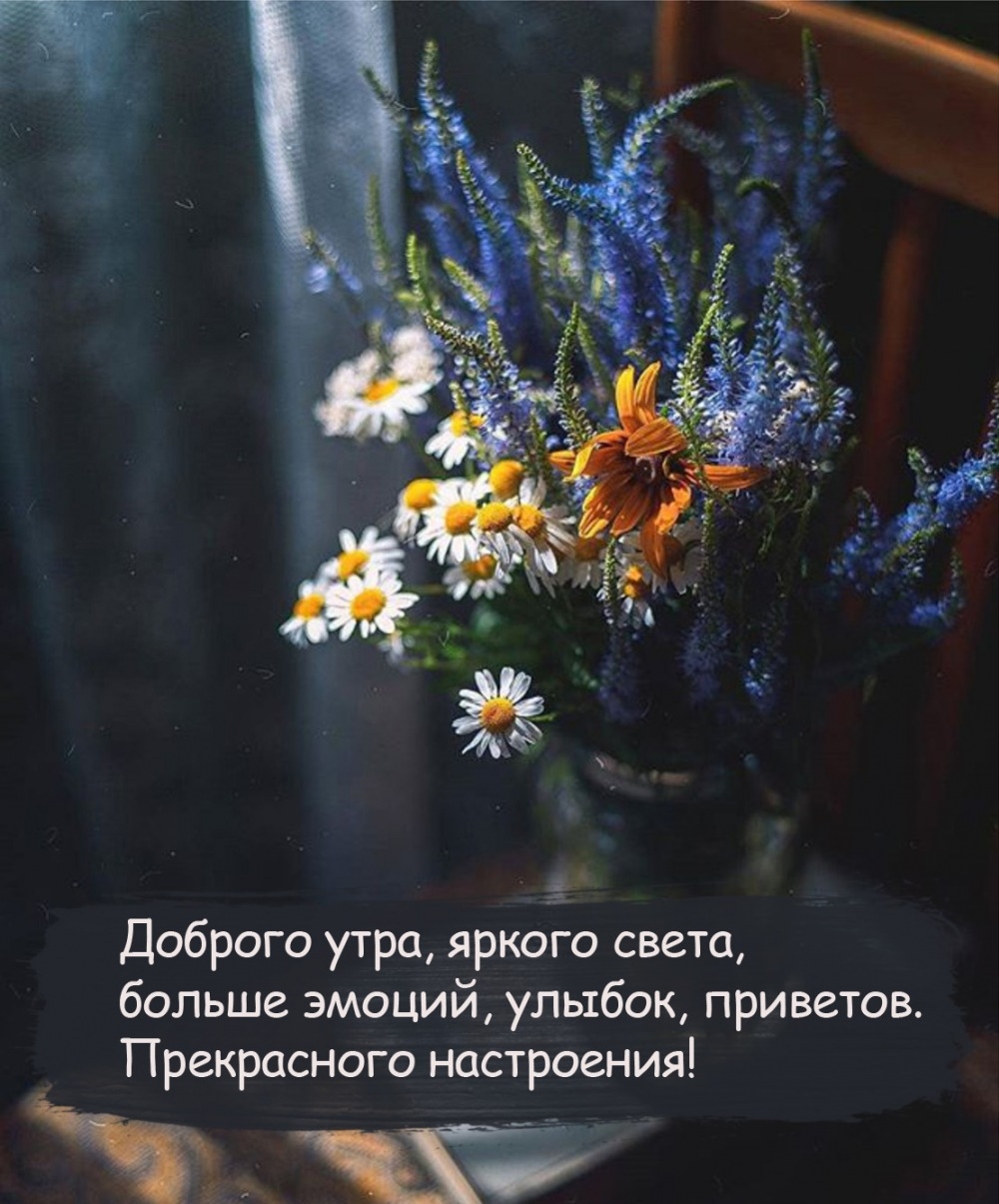 Прекрасного настроения! Доброго утра, яркого свет