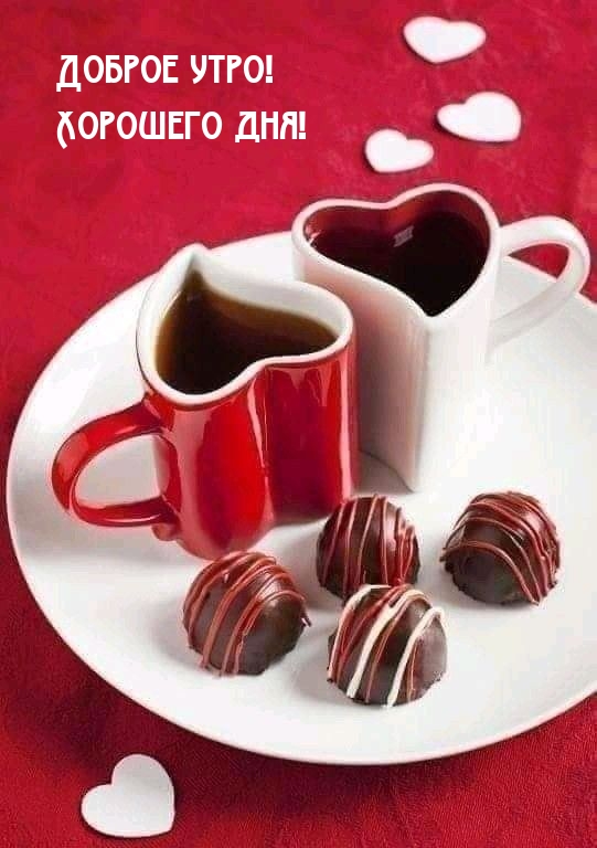 Доброе утро! Хорошего дня!