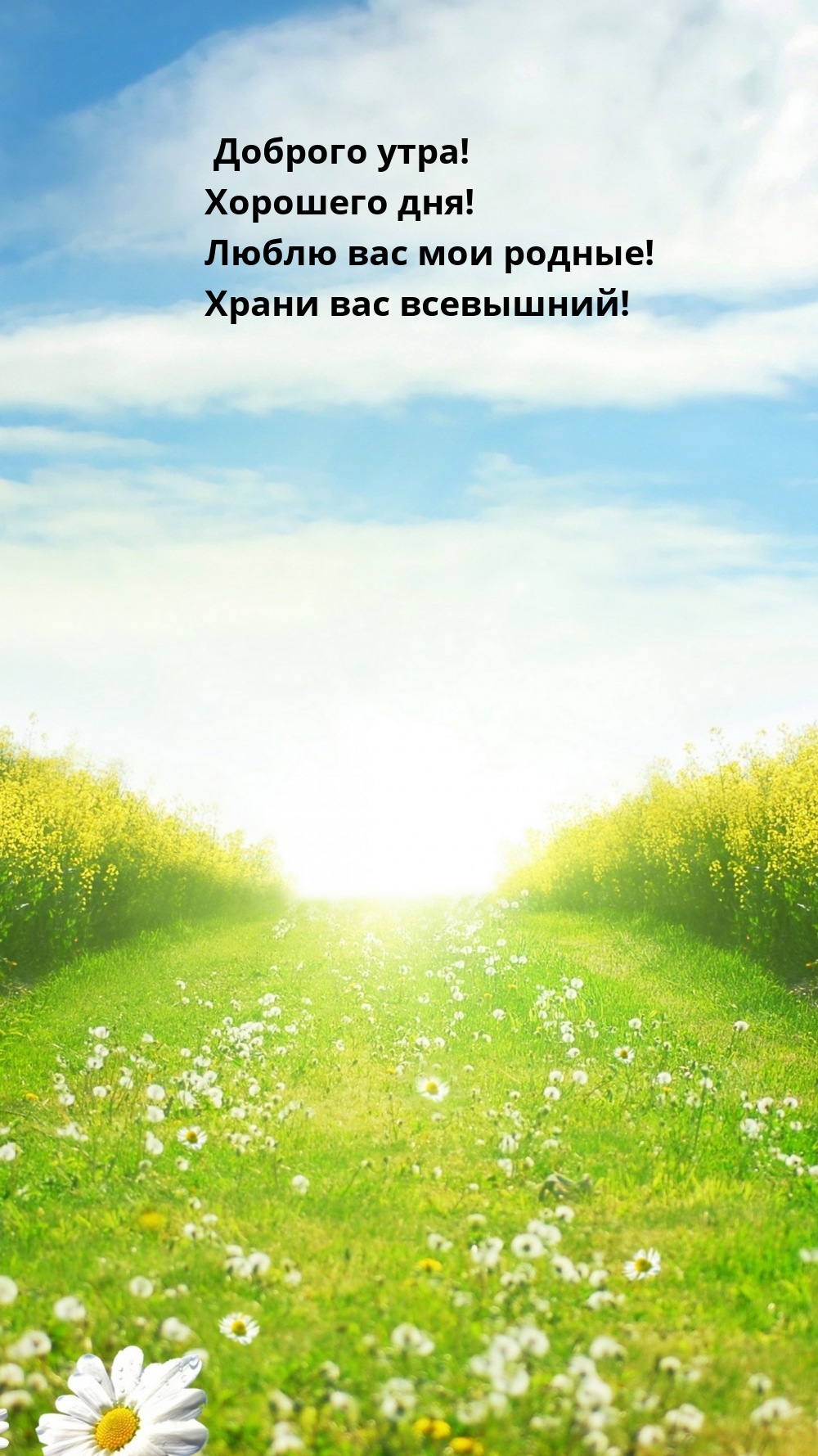 Доброго утра! Хорошего дня! Люблю вас мои родные! 