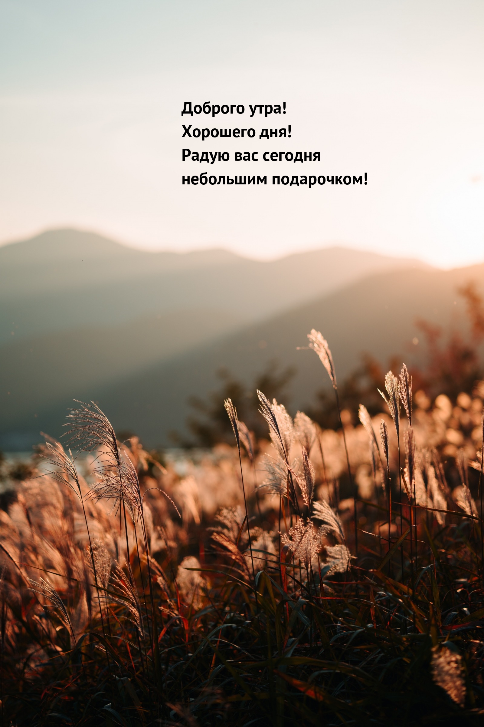 Доброго утра! Радую вас сегодня небольшим подарочком!