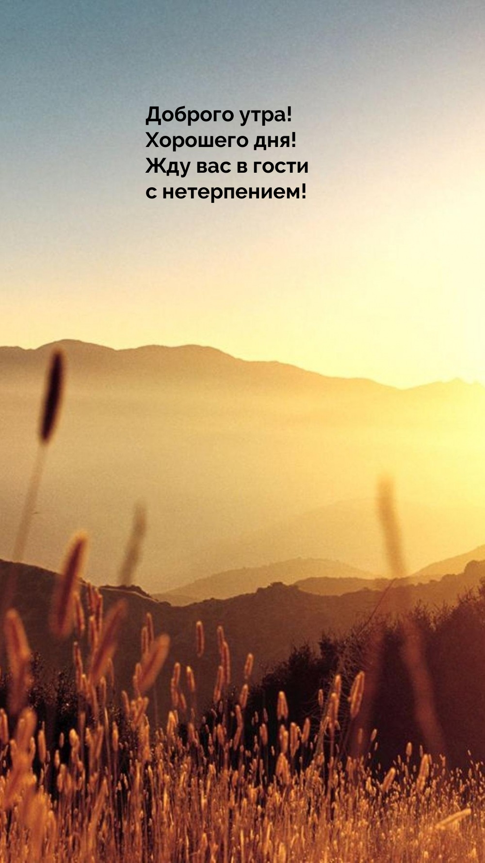 Доброго утра! Хорошего дня! Жду вас в гости с нетерпением!