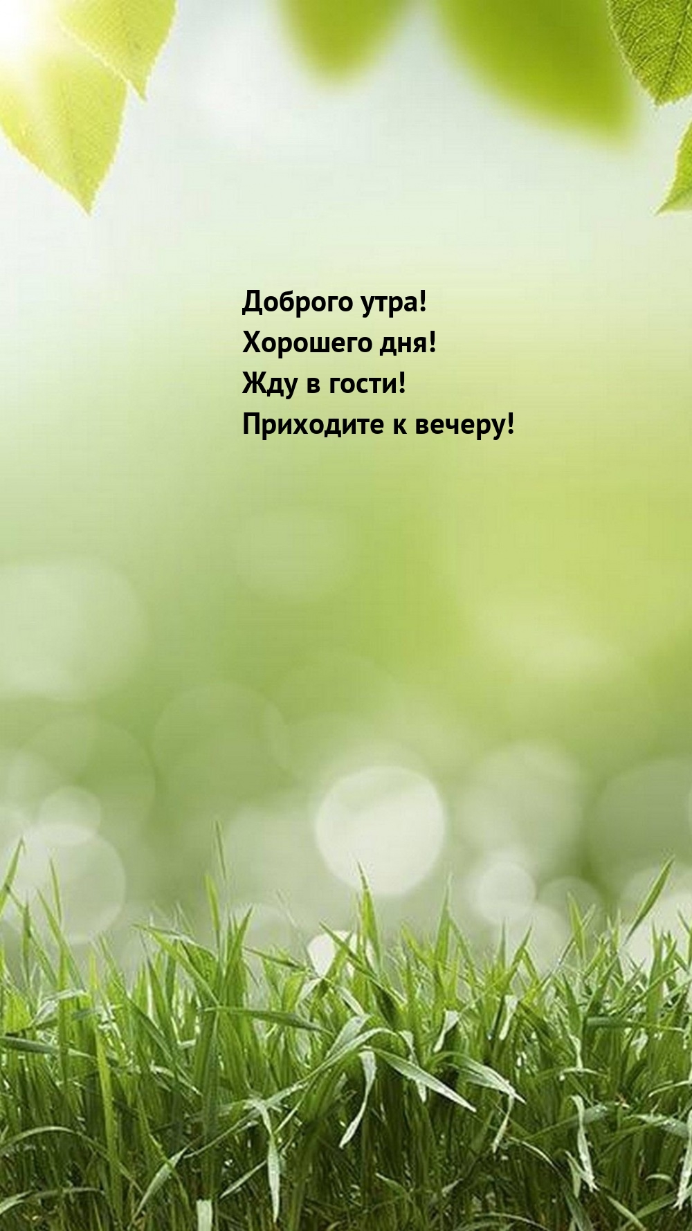Доброго утра! Хорошего дня! Жду в гости! Приходите к вечеру!