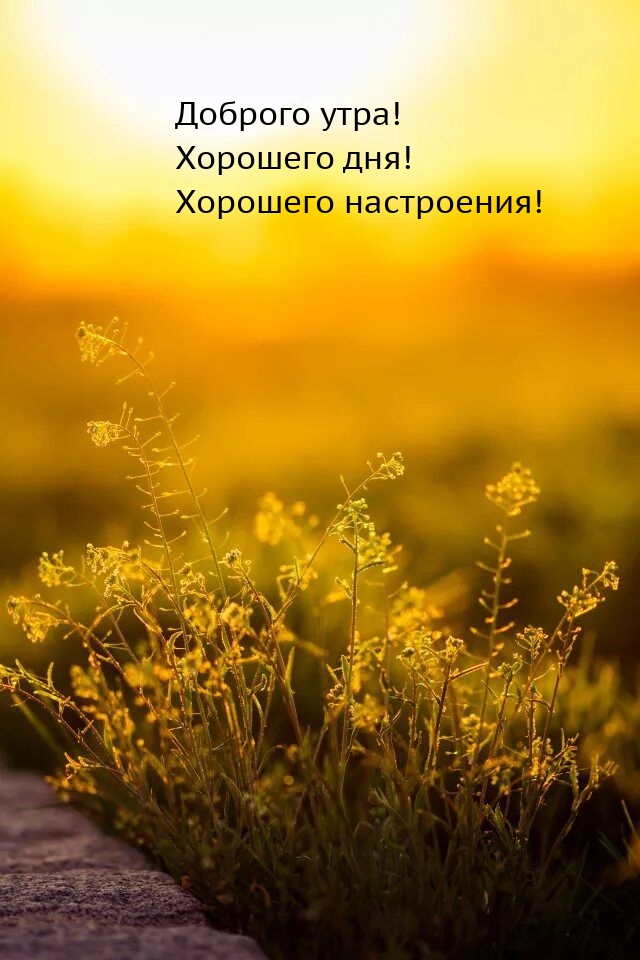 Доброго утра! Хорошего дня! Хорошего настроения! 