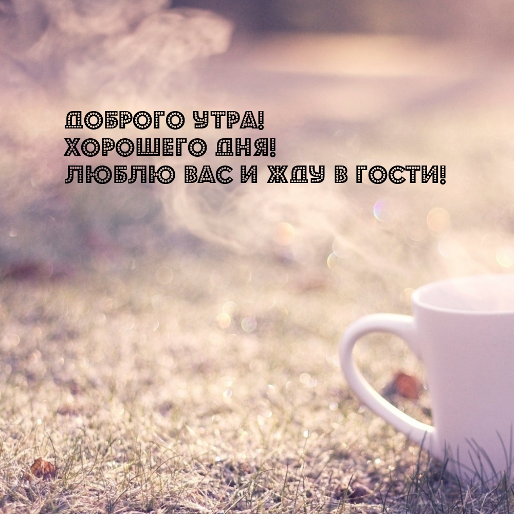 Доброго утра! Хорошего дня! Люблю вас и жду в гости!