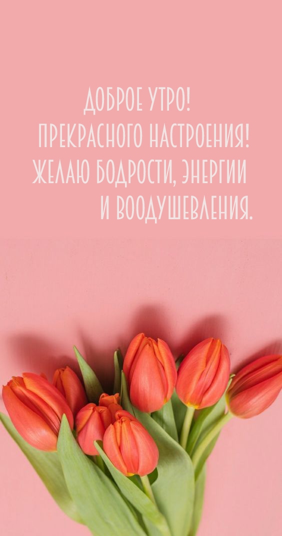 Доброе утро! Прекрасного настроения! Желаю бодрости, энергии 