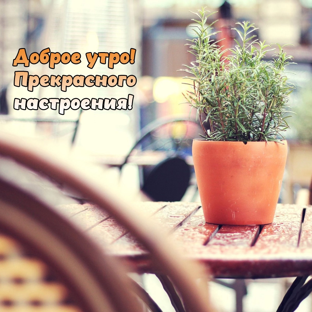 Доброе утро! Прекрасного настроения!