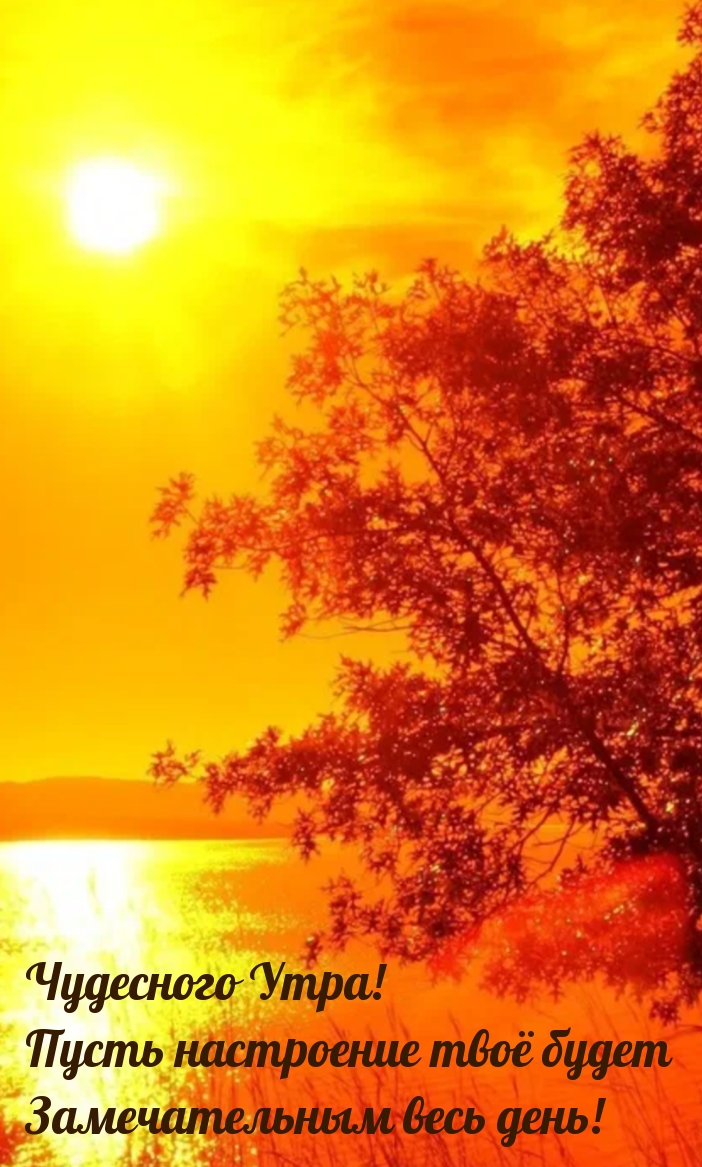 Чудесного Утра! Пусть настроение будет замечательным весь день!