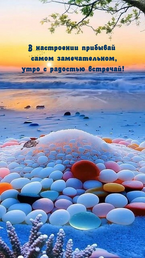 В настроении прибывай замечательном, утро с радостью встречай!