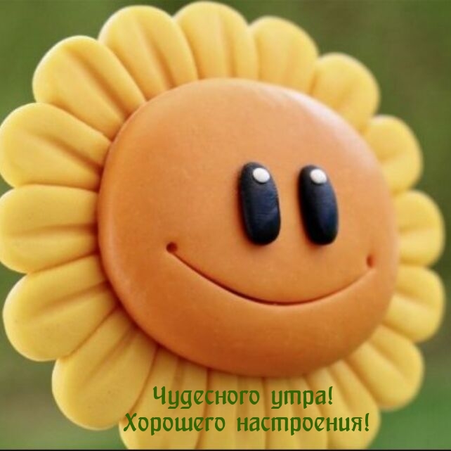 Чудесного утра! Хорошего настроения!