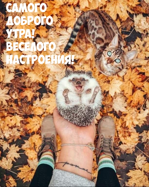 Самого доброго утра! Веселого настроения!