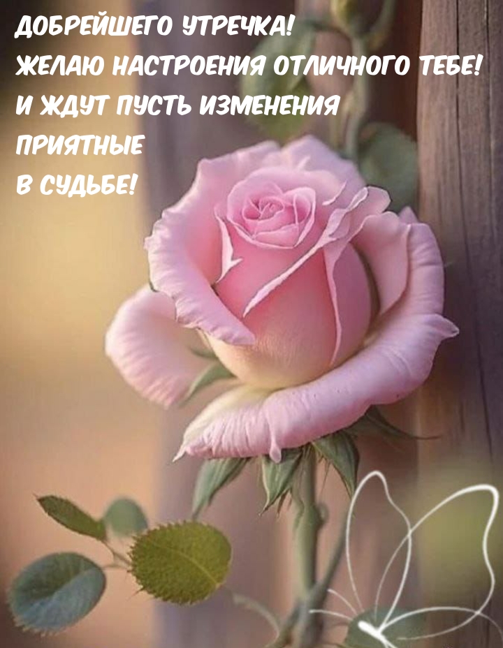 Добрейшего утречка! Желаю настроения отличного тебе!