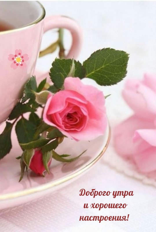 Доброго утра и хорошего настроения!