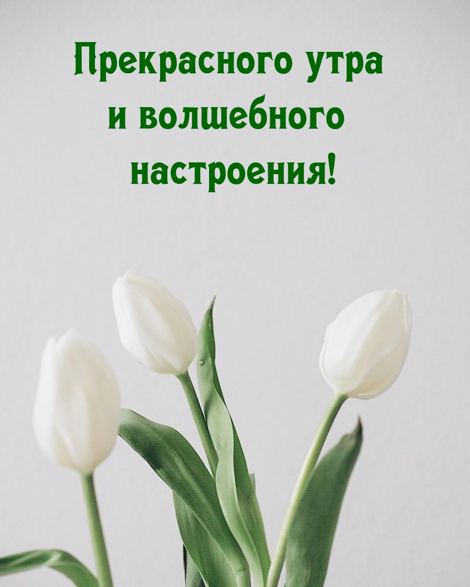 Прекрасного утра и волшебного настроения!