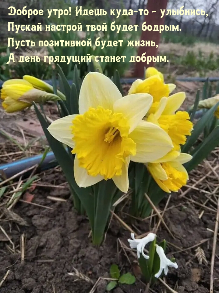 Доброе утро! Идешь куда-то - улыбнись