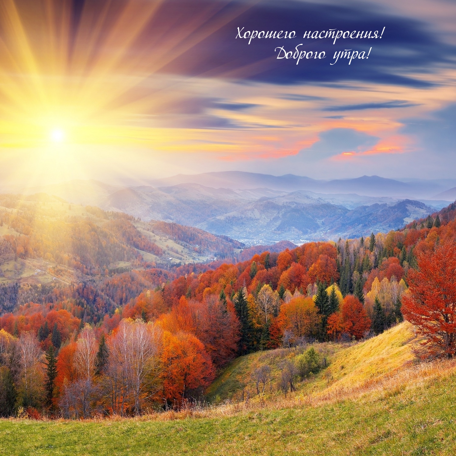 Хорошего настроения! Доброго утра!