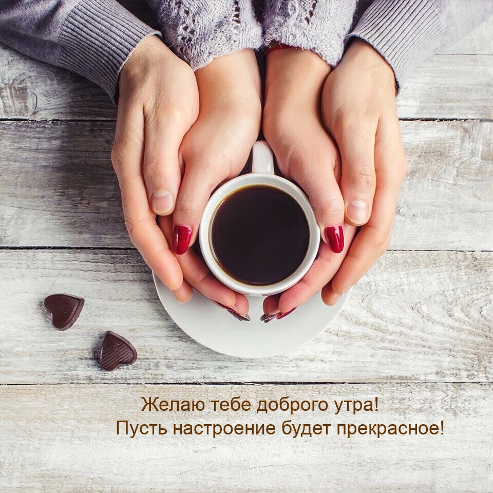 Желаю тебе доброго утра! Пусть настроение будет прекрасное!