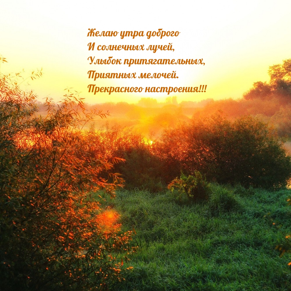 Желаю утра доброго и солнечных лучей, улыбок притягательных