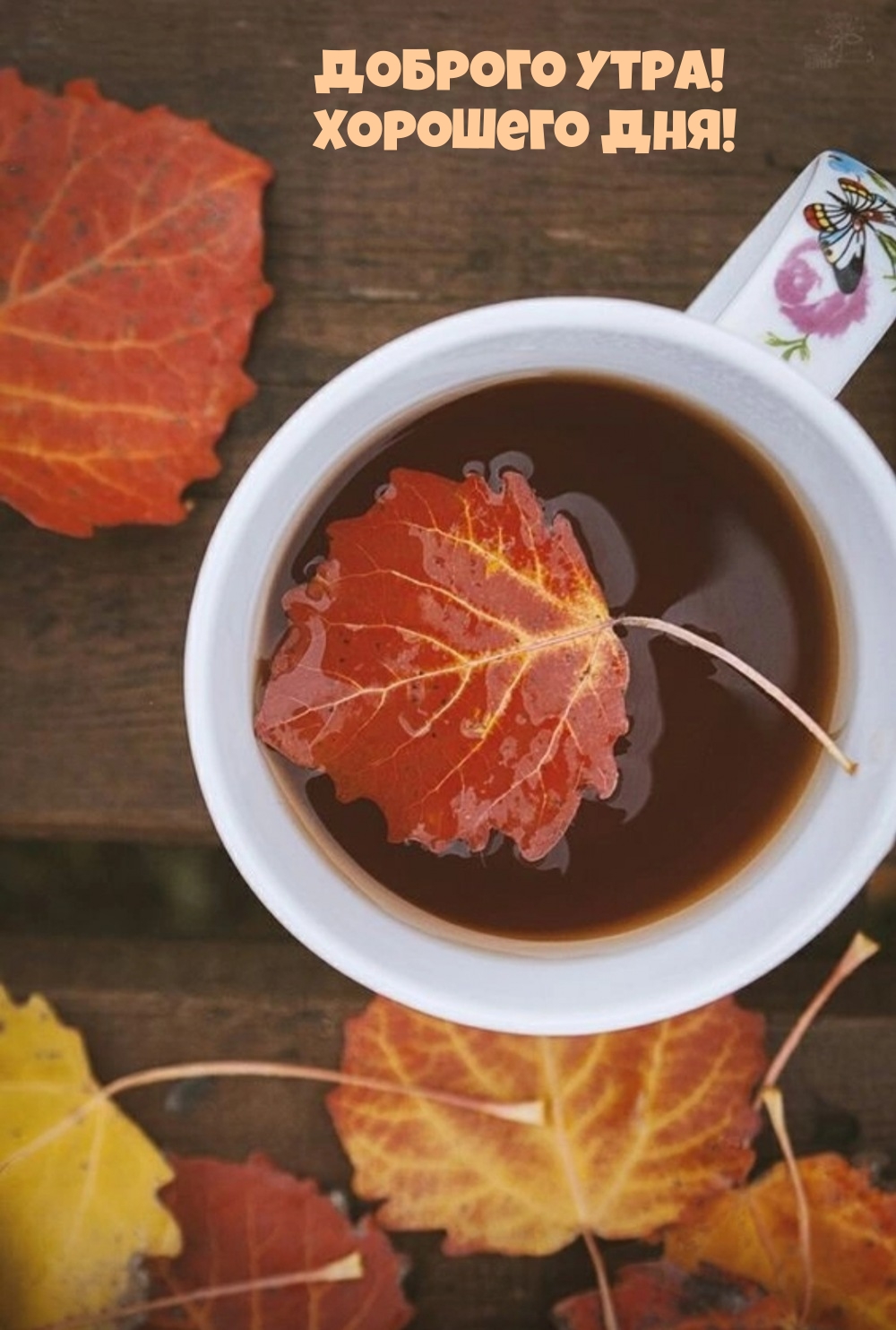 Доброго утра! Хорошего дня!