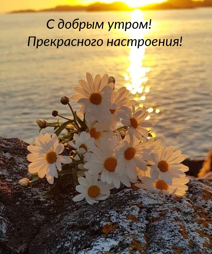 С добрым утром! Прекрасного настроения!