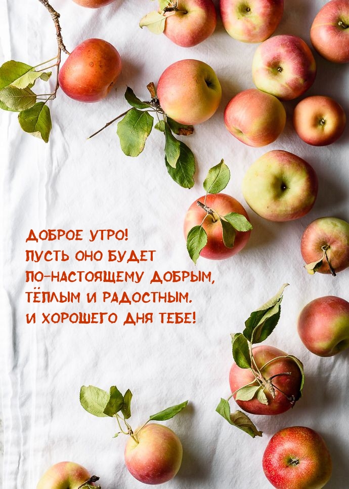 Доброе утро! Пусть оно будет по-настоящему добрым