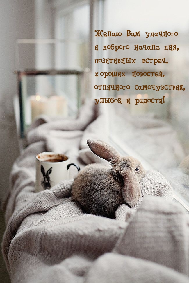 Отличного самочувствия, улыбок и радости!