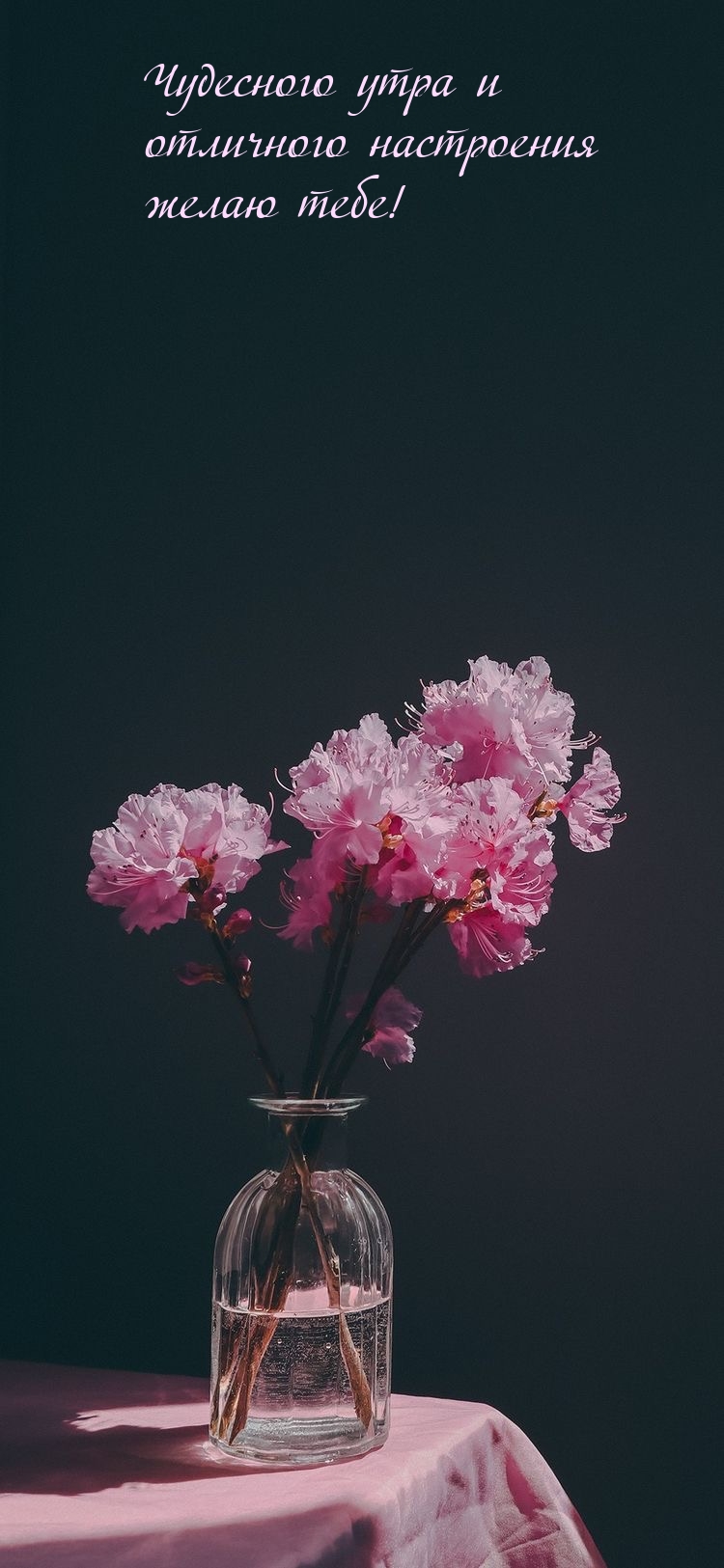 Чудесного утра и отличного настроения желаю тебе!
