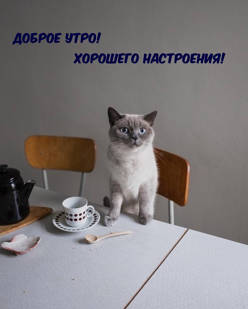 Доброе Утро! Хорошего Настроения!