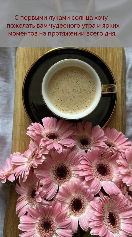 С первыми лучами солнца хочу пожелать вам чудесного утра