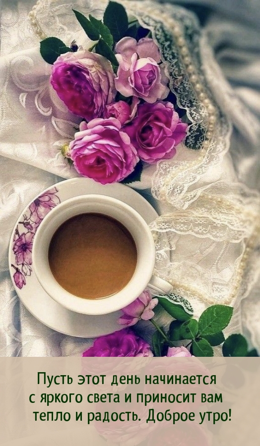 Пусть этот день начинается с яркого света и приносит вам радость.