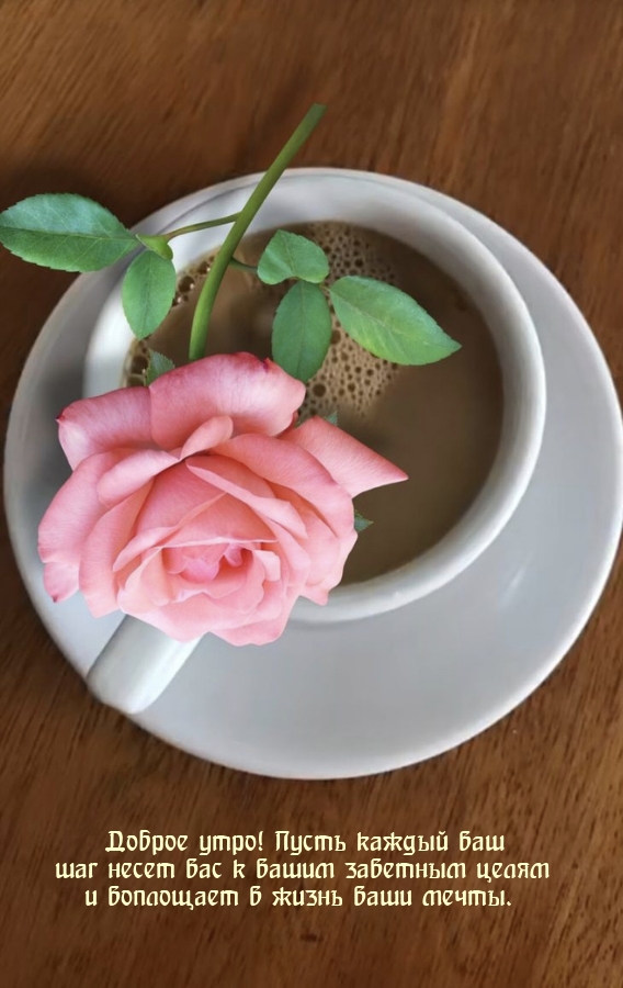 Доброе утро! Пусть каждый ваш шаг несет вас к вашим заветным целям 