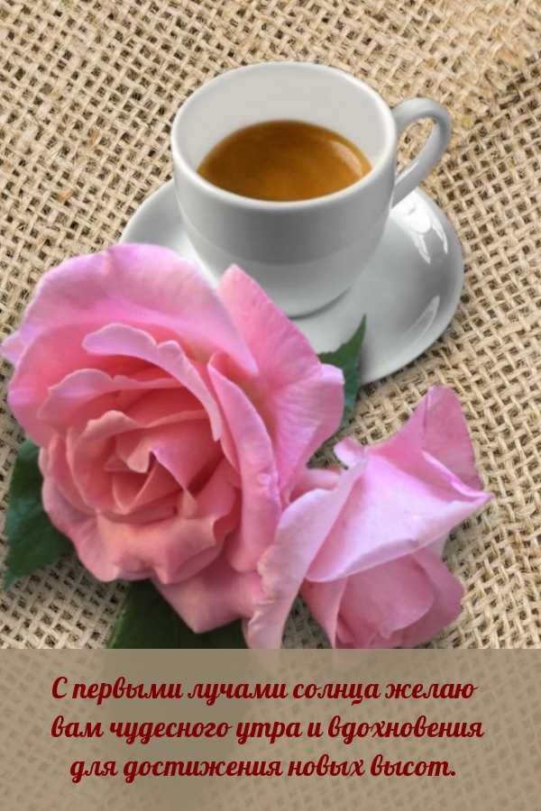 С первыми лучами солнца желаю вам чудесного утра