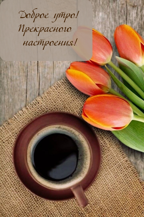 Доброе утро! Прекрасного настроения! 